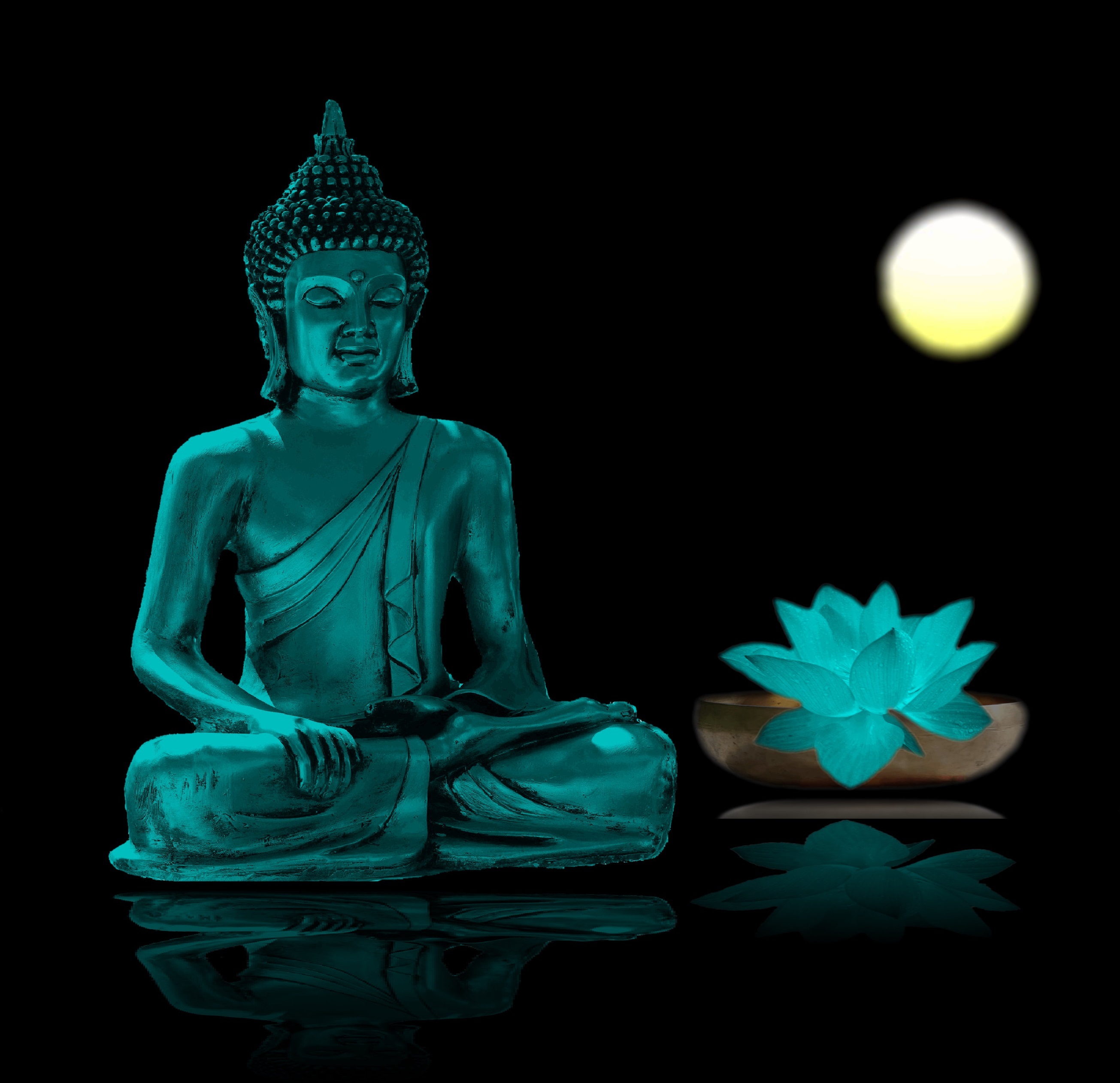 Zen blue edition download